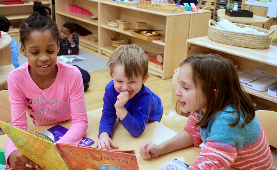 Caedmon pupils reading a book